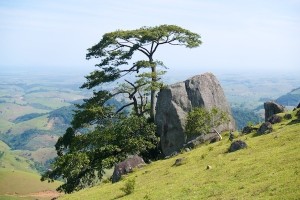 Buzzard Rock. One of the symbols of Tapuio
